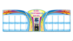 Наша спортивная жизнь Наша спортивная жизнь