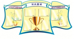 Наши спортивные достижения Наши спортивные достижения