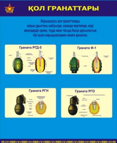 Информационный плакат "Граната" Информационный плакат "Граната"