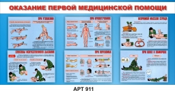 Оказание первой медицинской помощи Оказание первой медицинской помощи